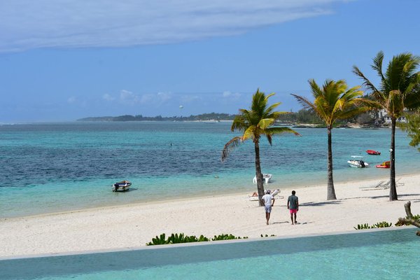 Quelles croisières incluent des excursions pour observer les loutres de mer en Californie?