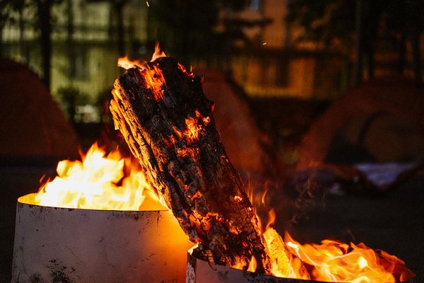 Quels sont les meilleurs spots pour la plongée avec les requins à Gansbaai, Afrique du Sud ?