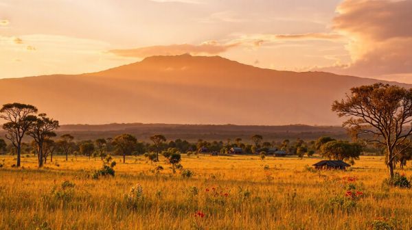 Les meilleures astuces pour obtenir un visa pour le Kenya
